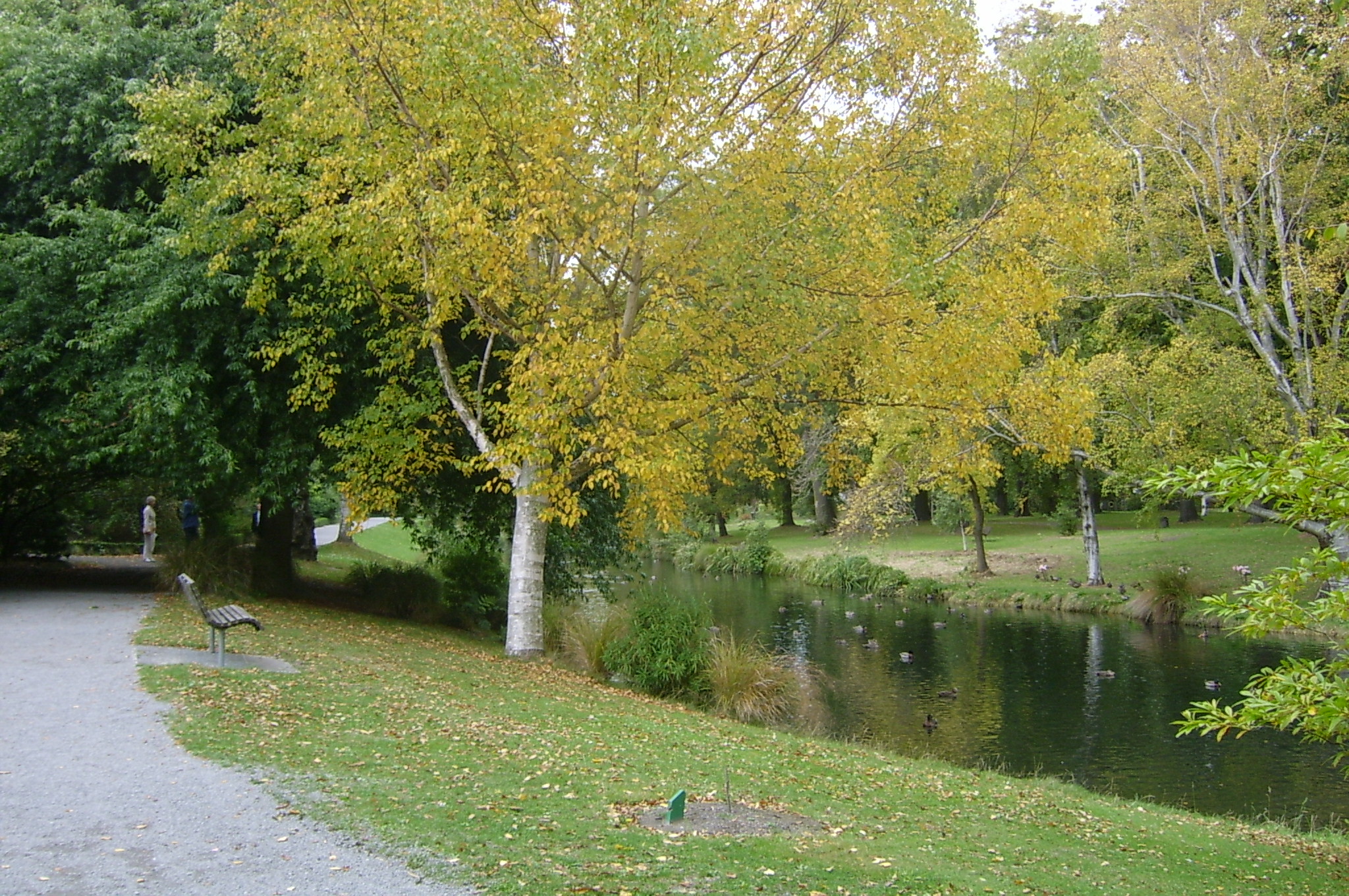 S3600086.JPG