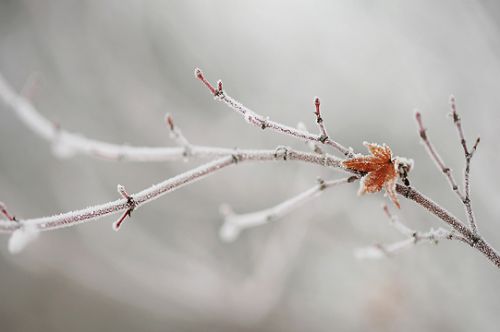 반갑다친구야 이미지