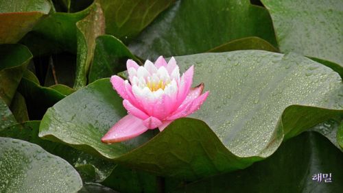 바느질풍경 이미지